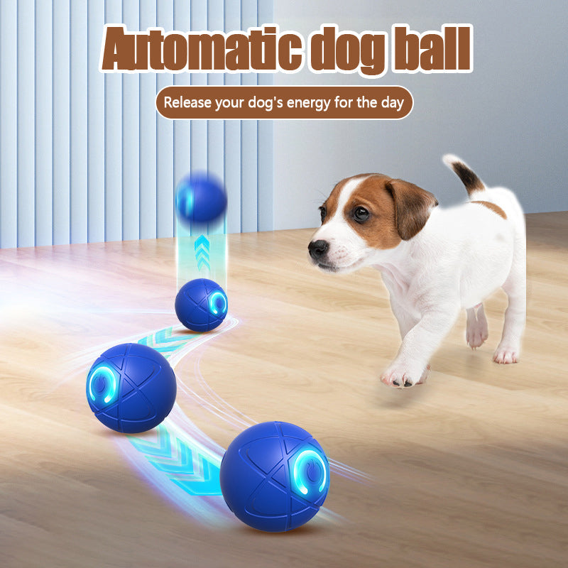 ✨🎁 A Christmas Surprise for Your Fur Baby!  Pet Bounce Ball for Cats🐱 & Dogs🐶